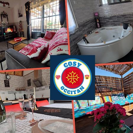 Le Cosy Occitan Villa Chaleureuse Independante Baignoire Terrasse Jardin Каркассон Экстерьер фото
